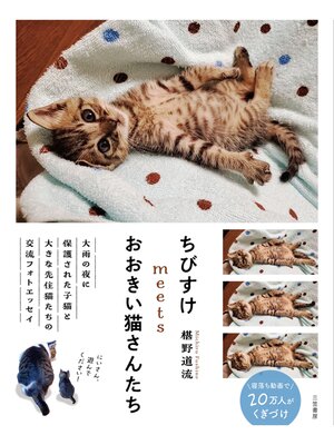 cover image of ちびすけmeetsおおきい猫さんたち